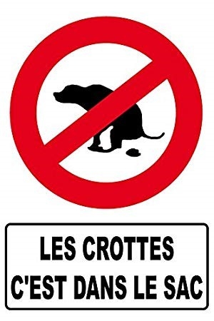 crotte sur trottoir
